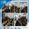 Sosialisasi Bahaya Penyalahgunaan Narkoba pada MPLS (Masa Pengenalan Lingkungan Sekolah) di SMA Jagakarsa